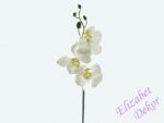Orchidej bílá 57cm